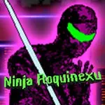 Ninja Roquinexu