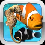Fish Farm