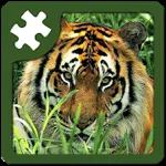 Wild animals puzzle: Jigsaw