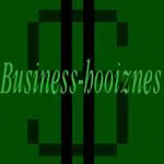 Business-hooiznes