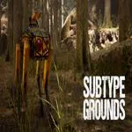 Subtype Grounds