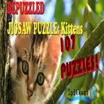 Bepuzzled Kittens Jigsaw Puzzle