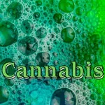Cannabis