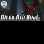 Birds Are Real