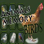 Animals Memory: Birds