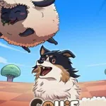 Collie Call