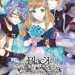 Black Wolves Saga: Weiβ und Schwarz - for Nintendo Switch