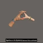 Hypotheses on the Symmetry between Vision and Hands