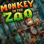 Monkey in the Zoo