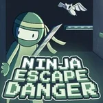 Ninja Escape Danger