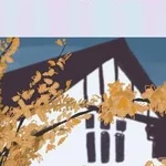 Paintings Restoration