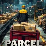 Parcel Inspection Simulator