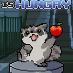 Raccoon is Hungry