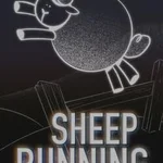 Sheep Running