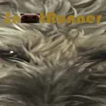Snoot Runner