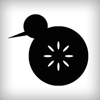 Kiwiforge