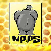 Naps Team