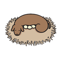 HAL Laboratory