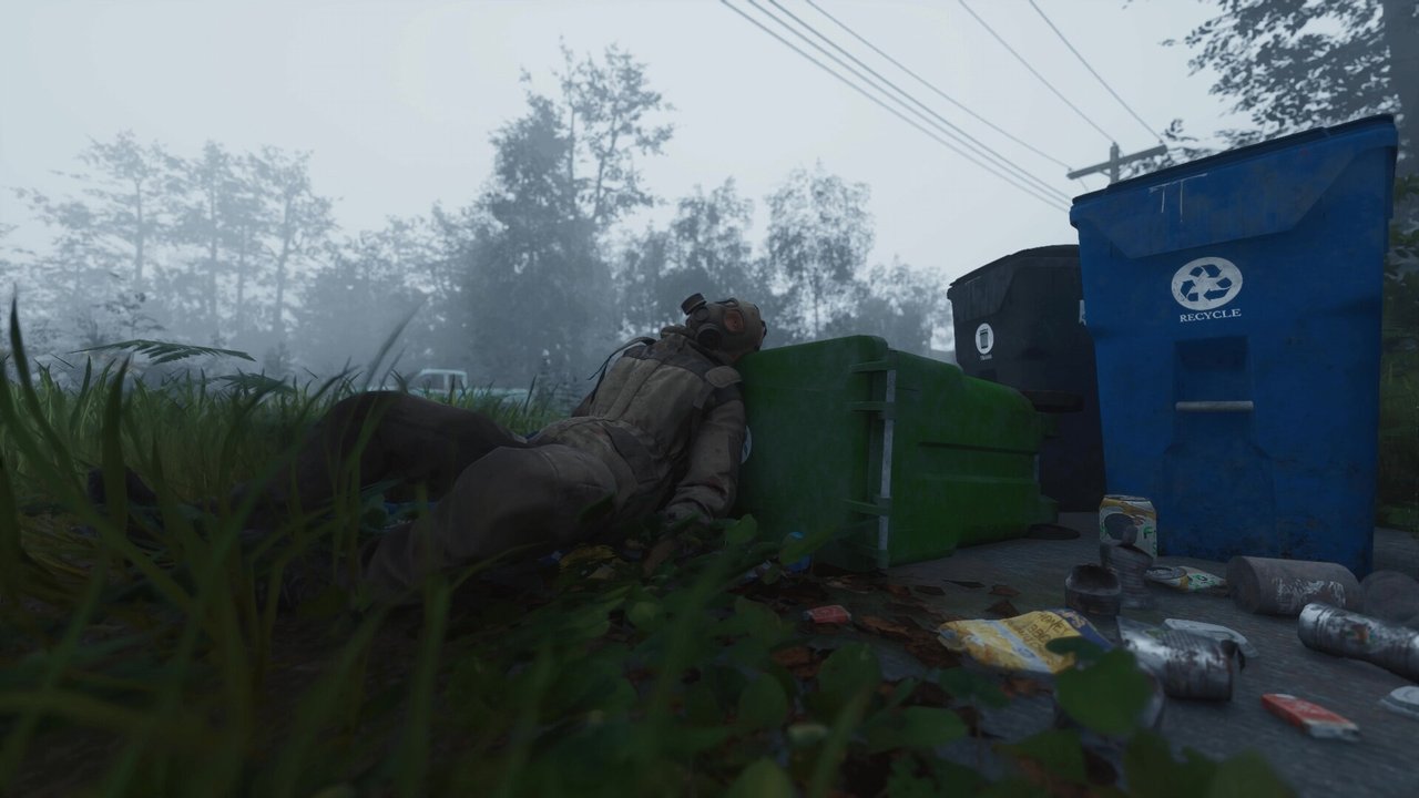 media