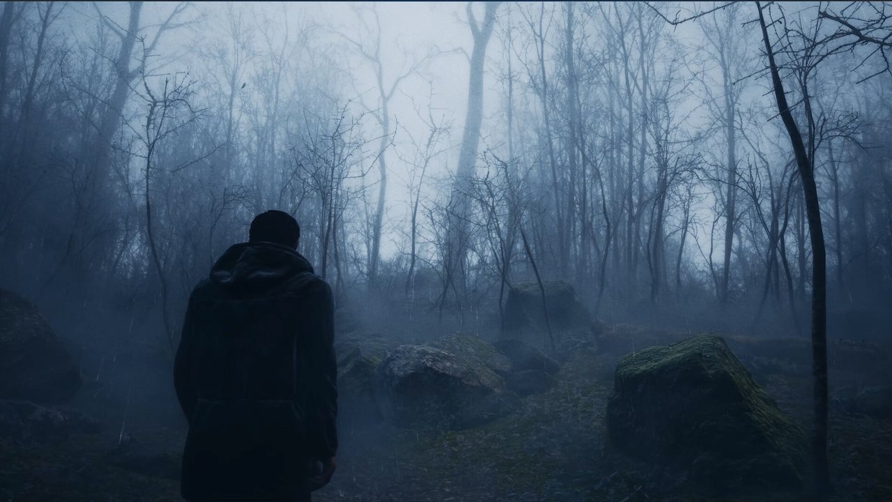 Whispers in the Fog