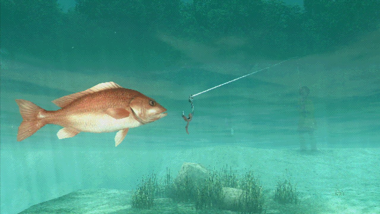 About Fishing