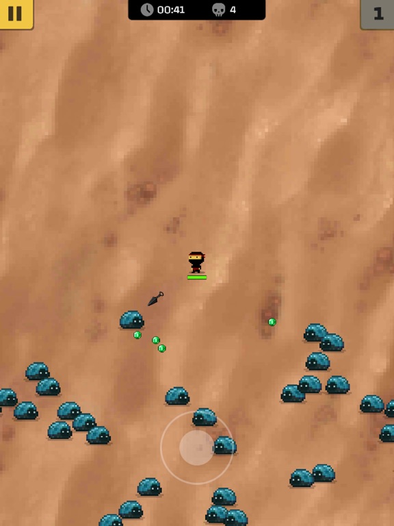 Ninja Survival