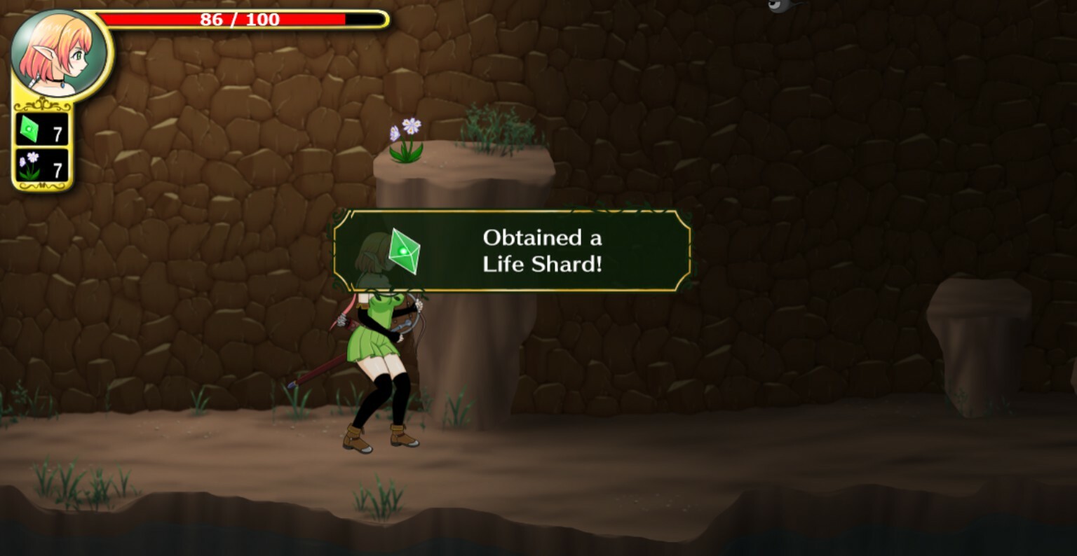 Nifa's First Mission