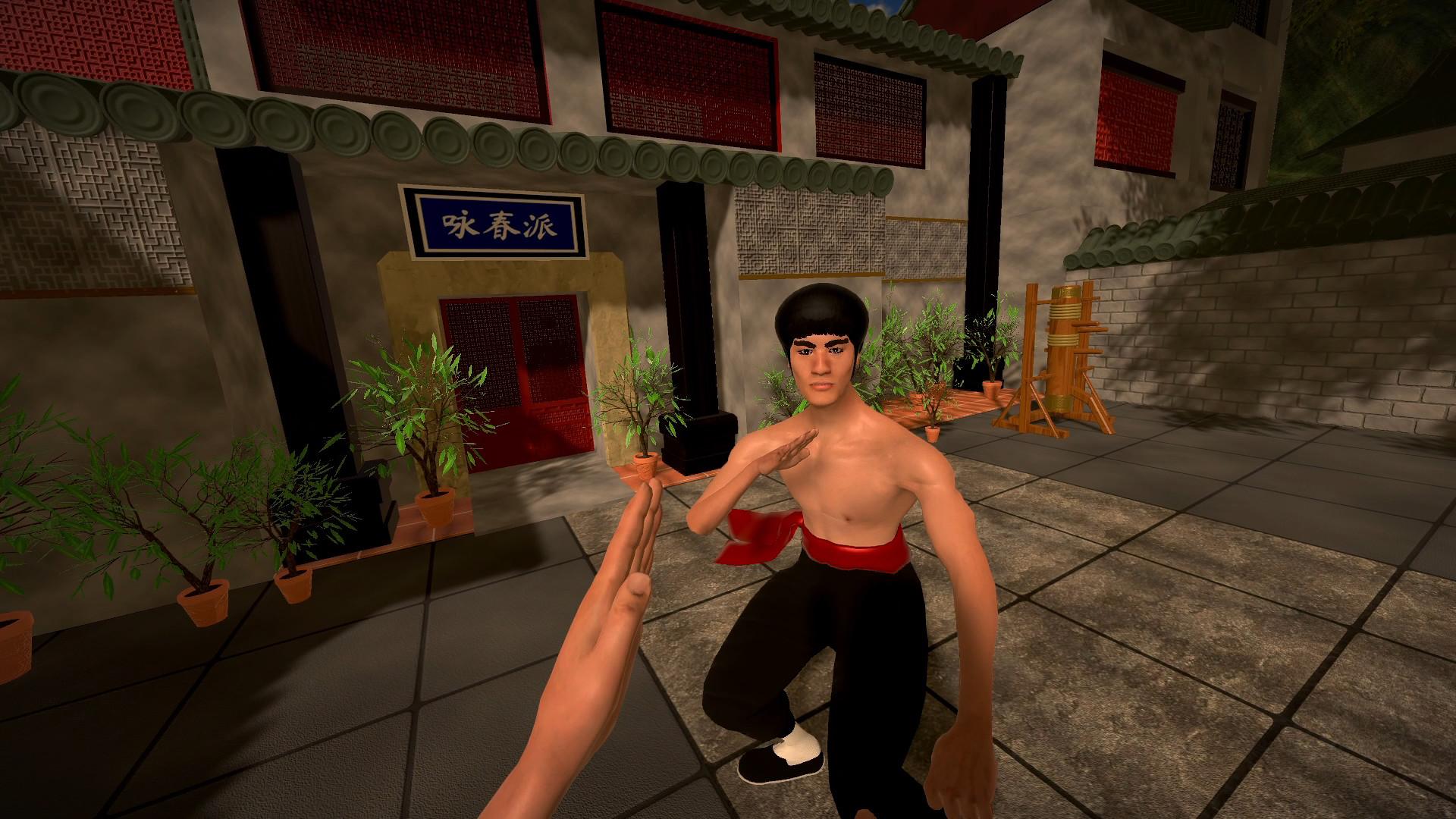 Dragon Fist: VR Kung Fu