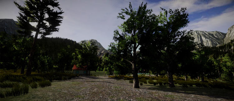 The Secrets of the Forest