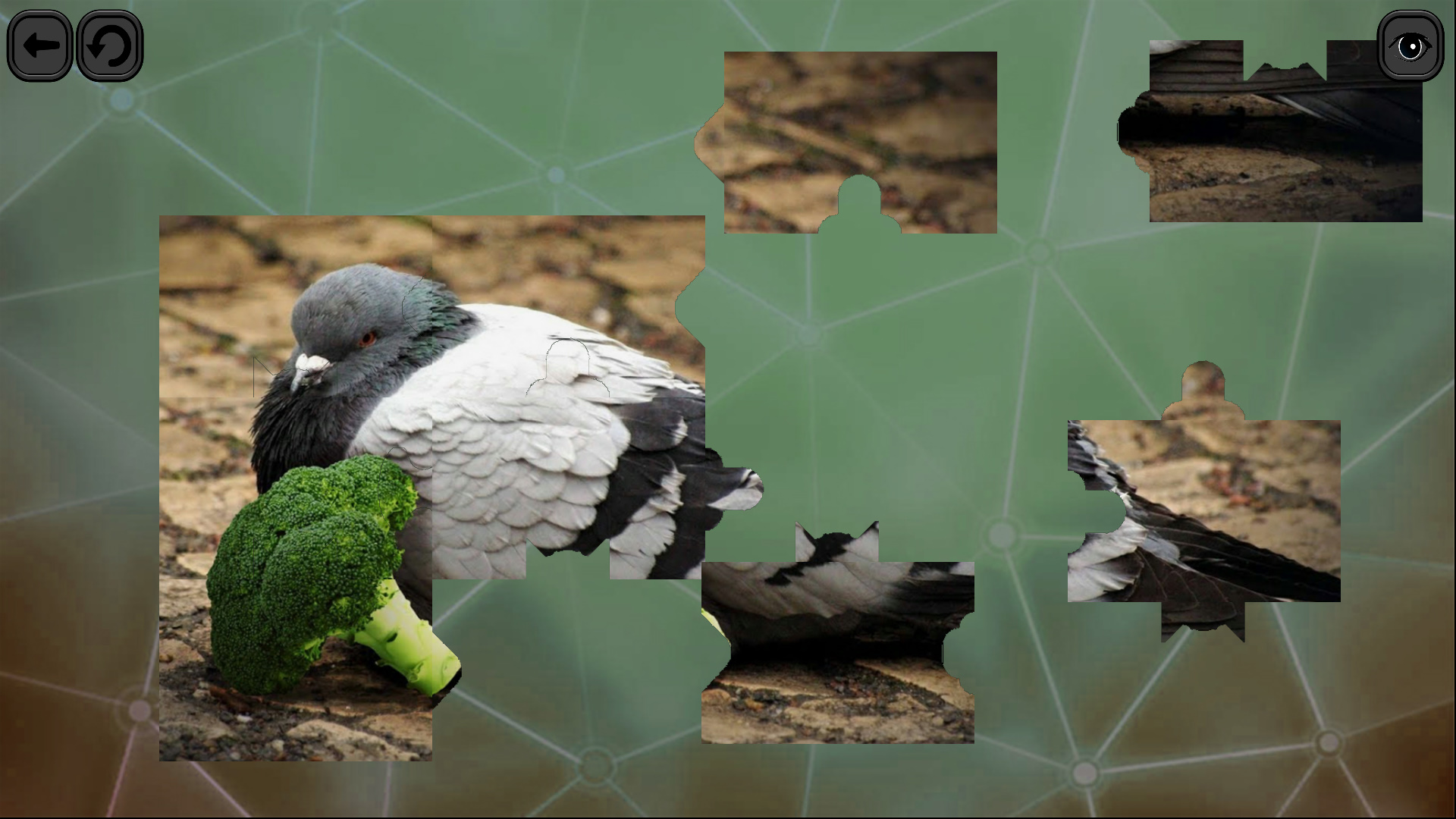 Puzzles for smart: Birds