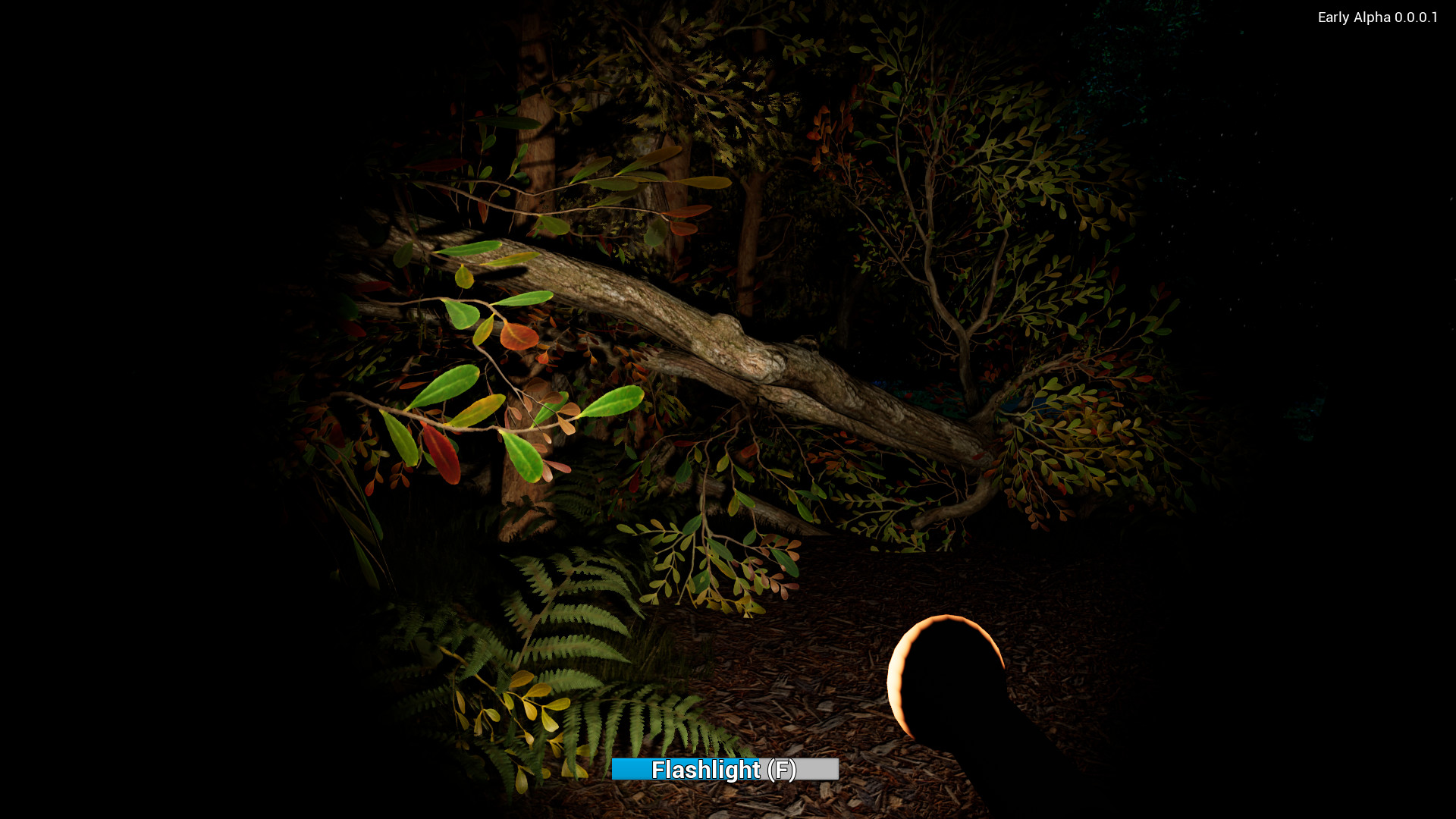 The Man with the Dog