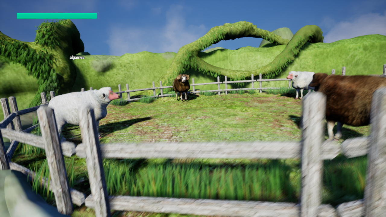 Sheep Collision