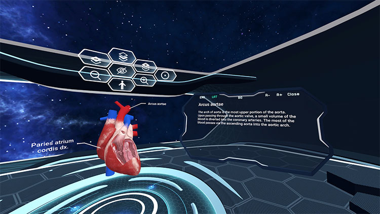 Human Anatomy VR