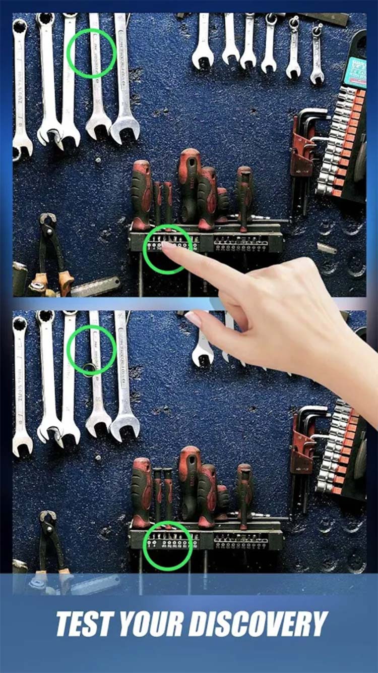 Spot Hidden Differences