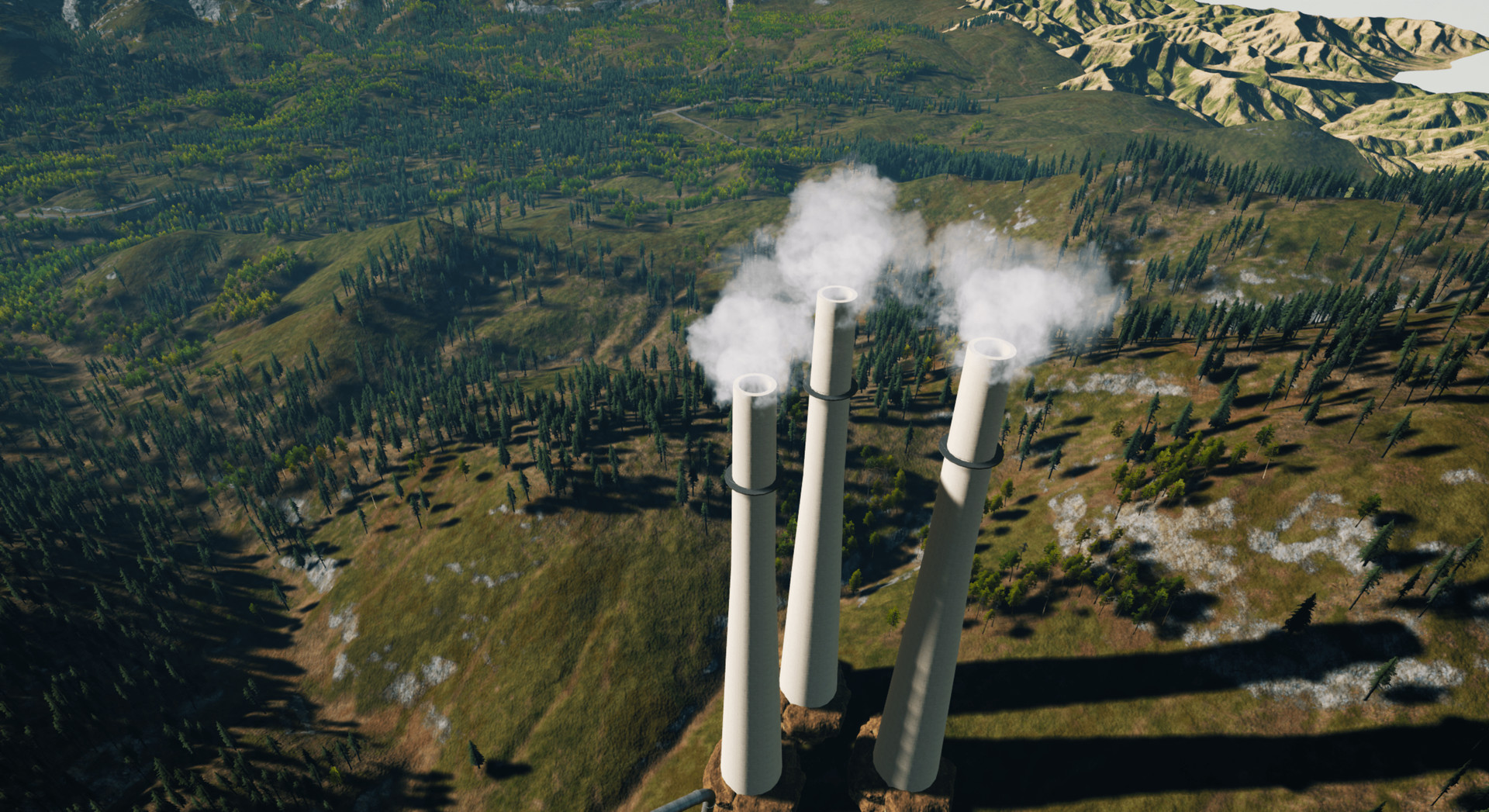 media