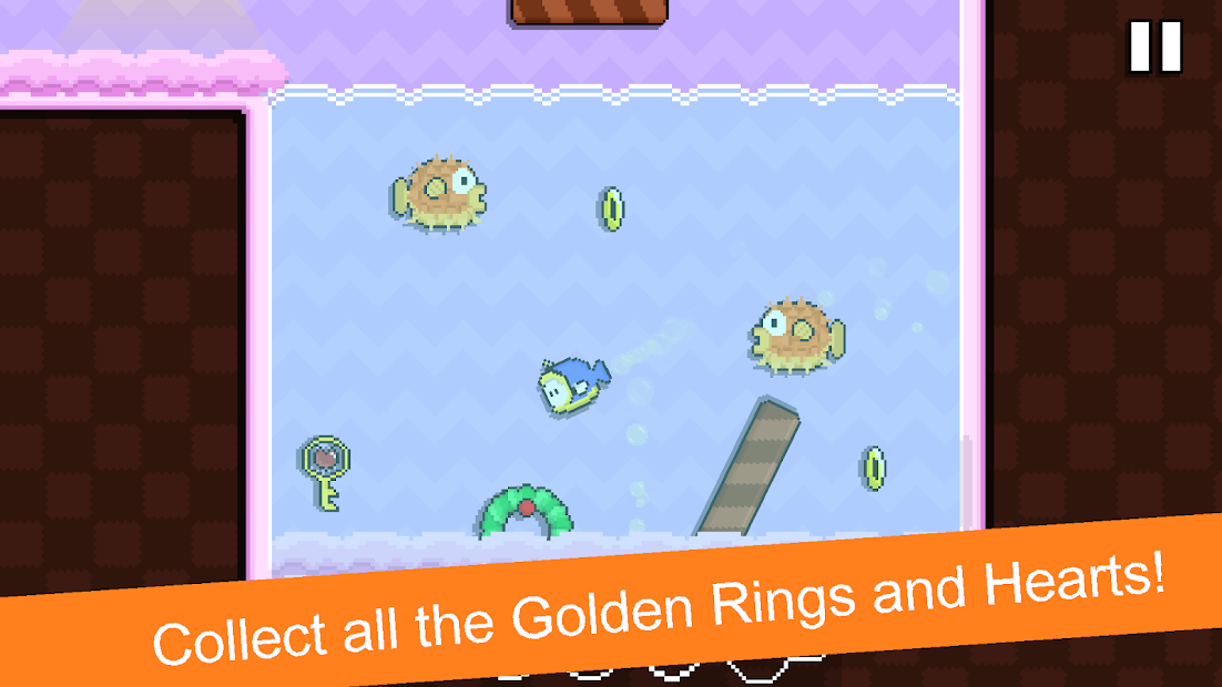 Haipy : Where's my ring?