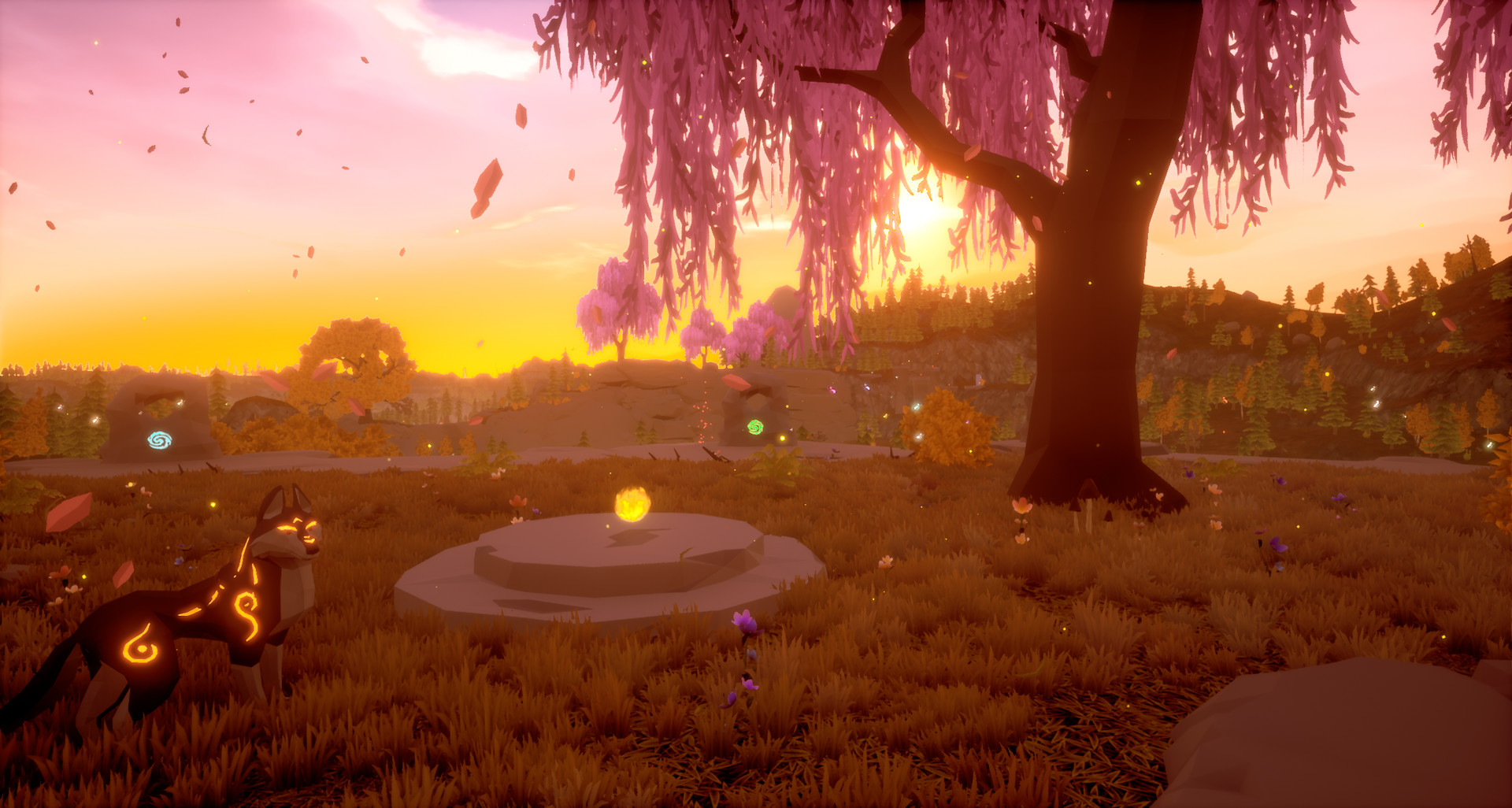 Paws and Soul: First Step