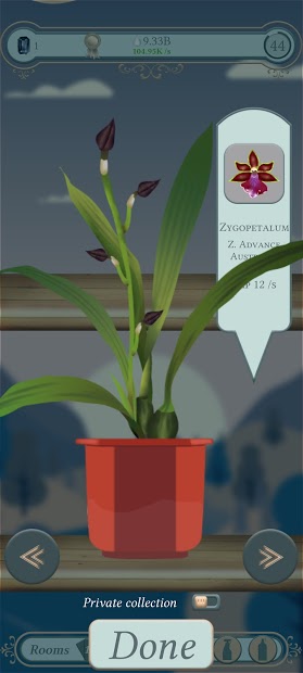 The Black Orchid - Orchids Nursery Idle Game