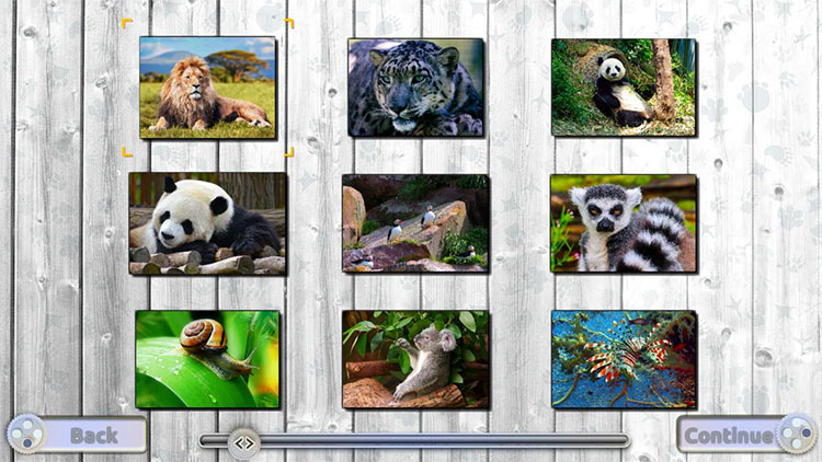 Jigsaw Fun: Amazing Animals